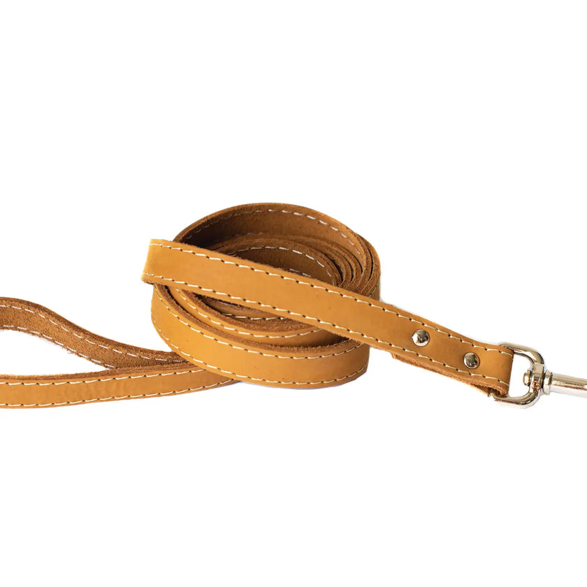 Euro-Dog Genuine Leather Dog Leads