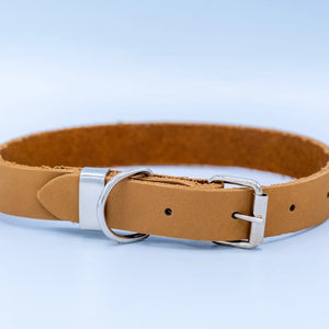 Euro-Dog Genuine Leather Dog Collars