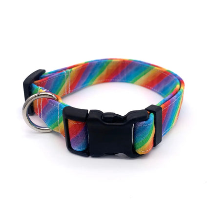 Winthrop Collars and Leashes