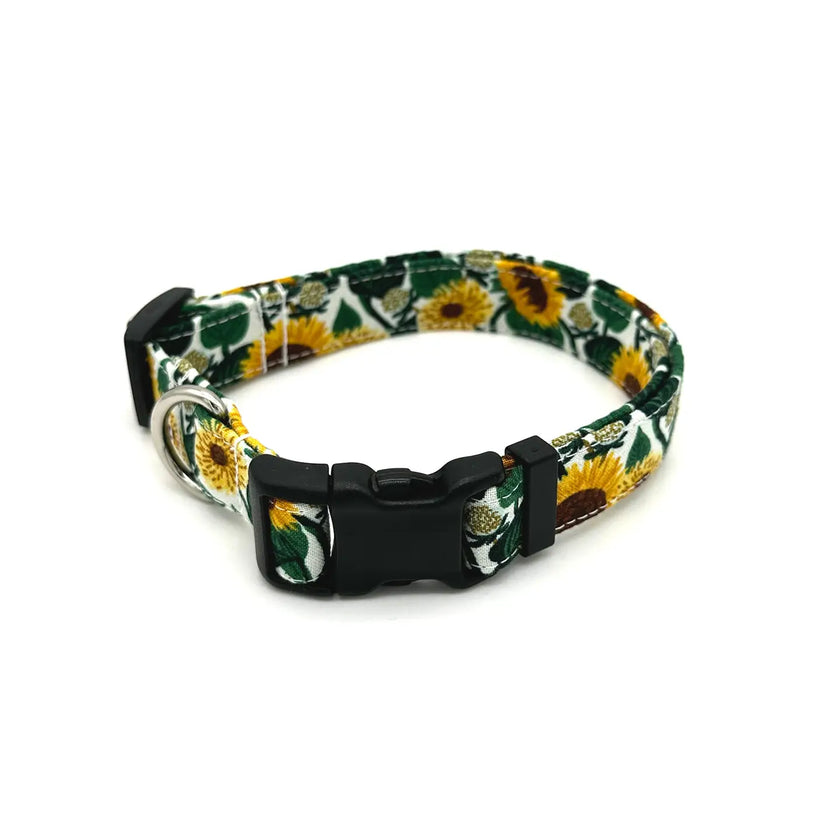 Winthrop Collars and Leashes