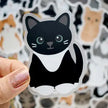 Looks Like My Cat! Stickers and Magnets by Chester and Pearl