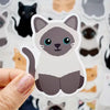 Looks Like My Cat! Stickers and Magnets by Chester and Pearl