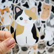 Looks Like My Cat! Stickers and Magnets by Chester and Pearl