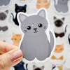 Looks Like My Cat! Stickers and Magnets by Chester and Pearl