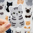 Looks Like My Cat! Stickers and Magnets by Chester and Pearl