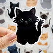 Looks Like My Cat! Stickers and Magnets by Chester and Pearl