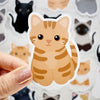 Looks Like My Cat! Stickers and Magnets by Chester and Pearl