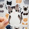 Looks Like My Cat! Stickers and Magnets by Chester and Pearl