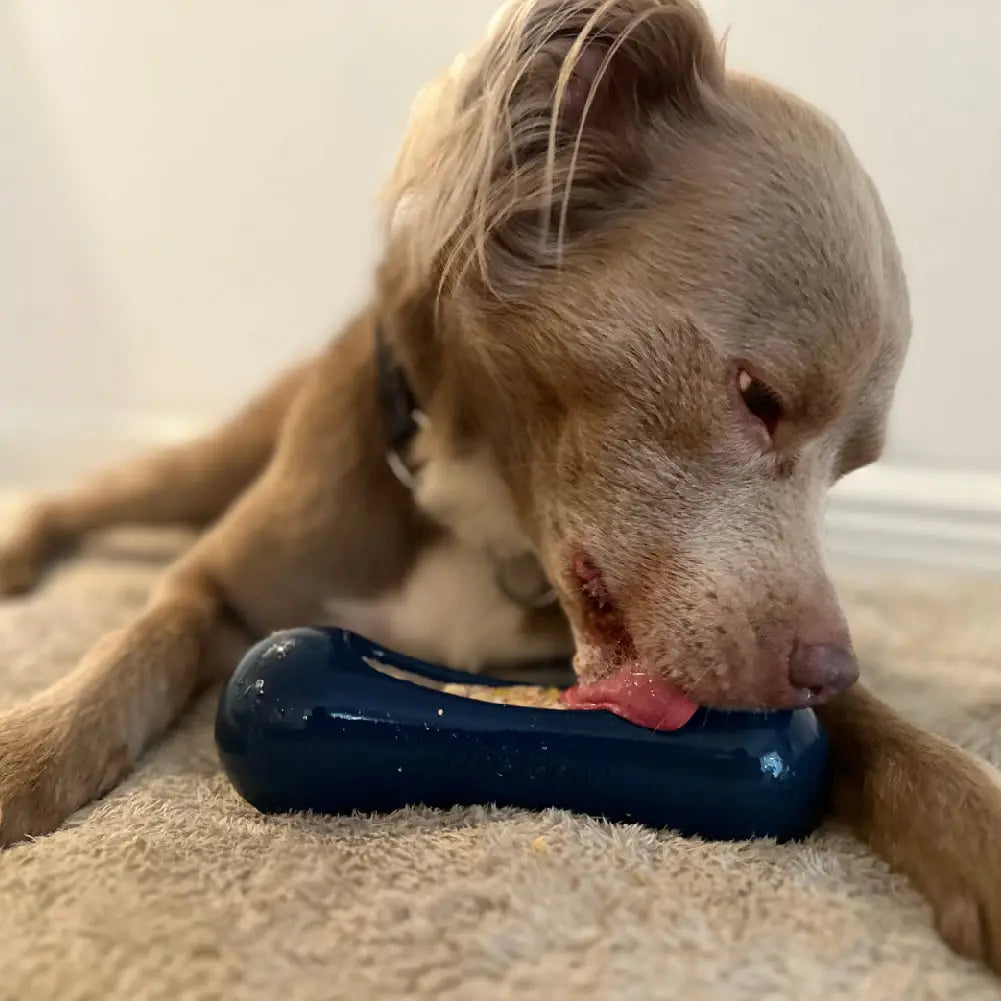 Freezstick Dog Toy by Freezbone