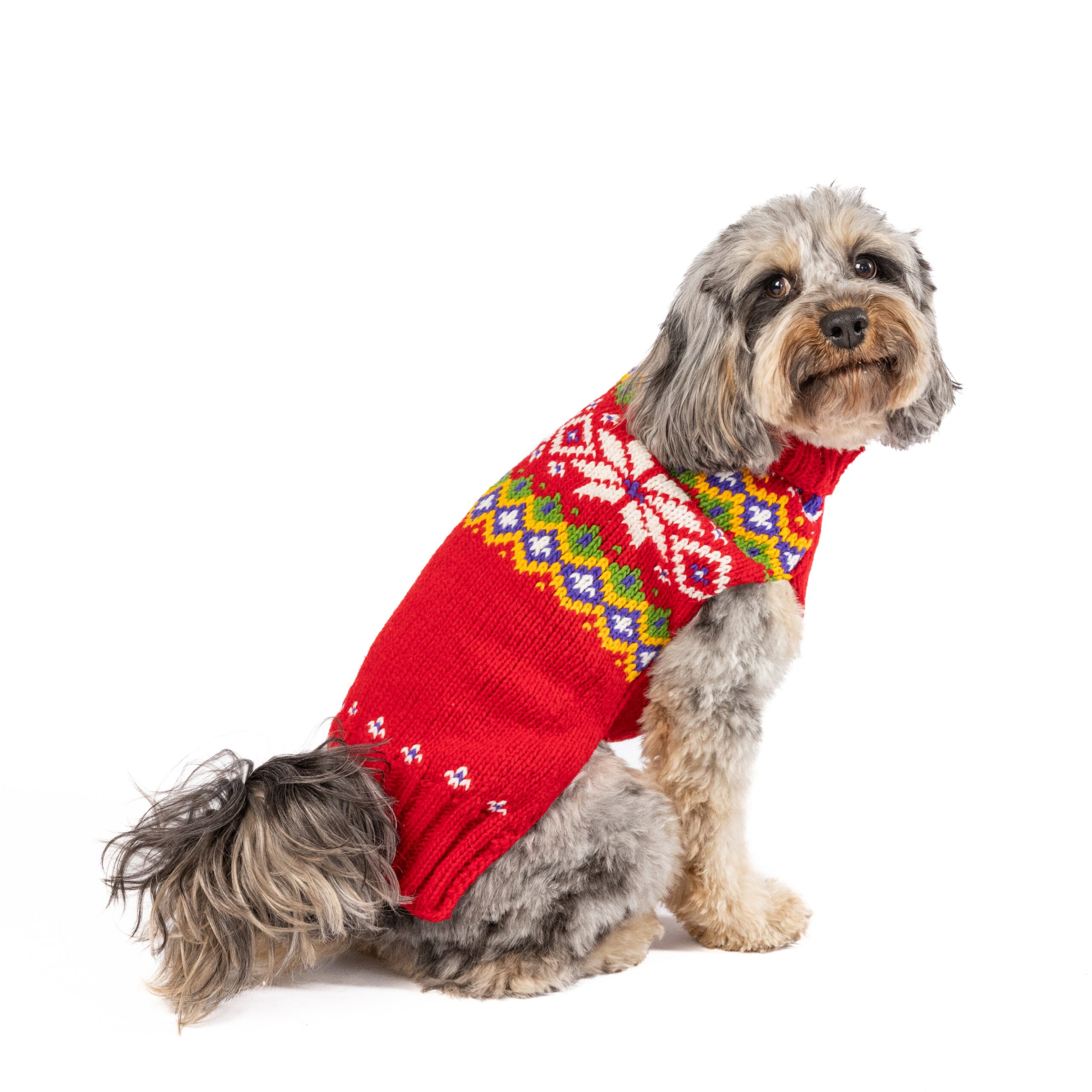 XXS Chilly Dog Sweaters