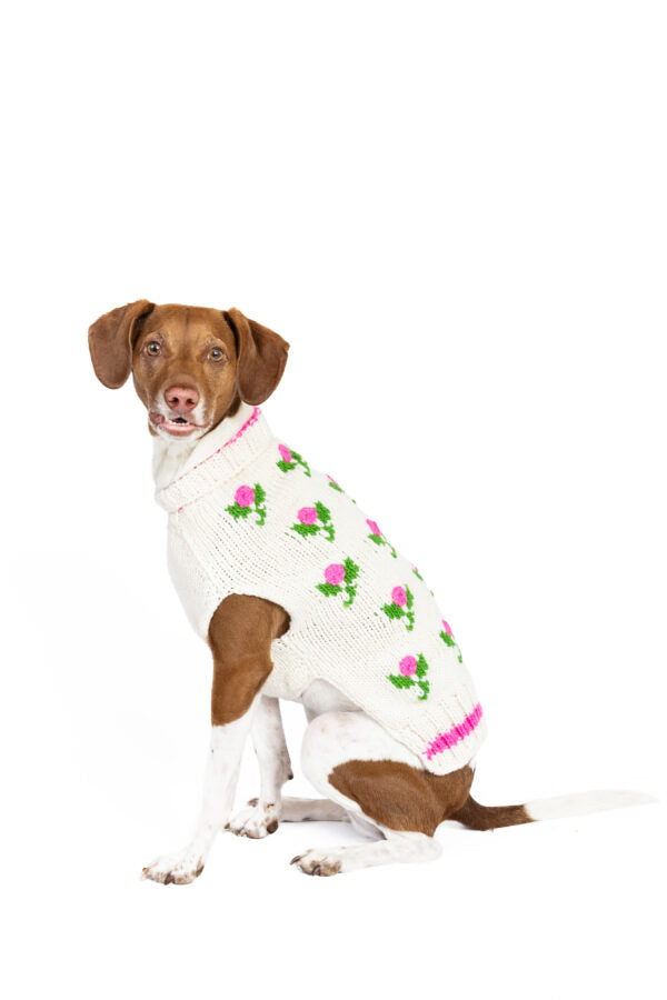 XS Chilly Dog Sweaters