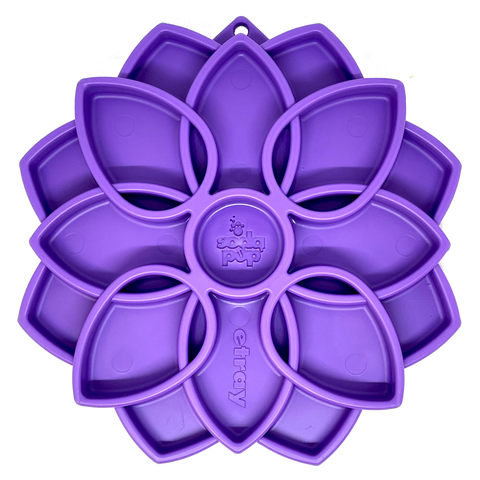 Enrichment Trays and Bowls by SodaPup