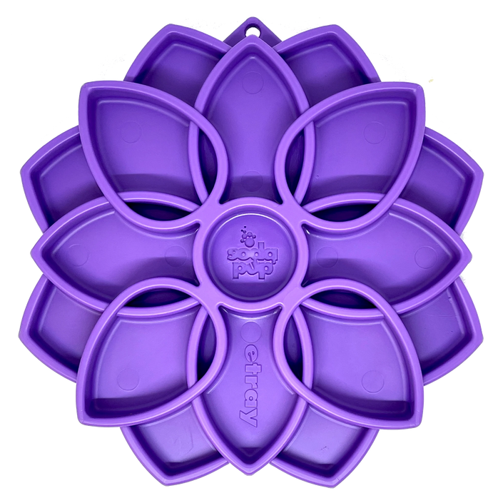 Enrichment Trays and Bowls by SodaPup