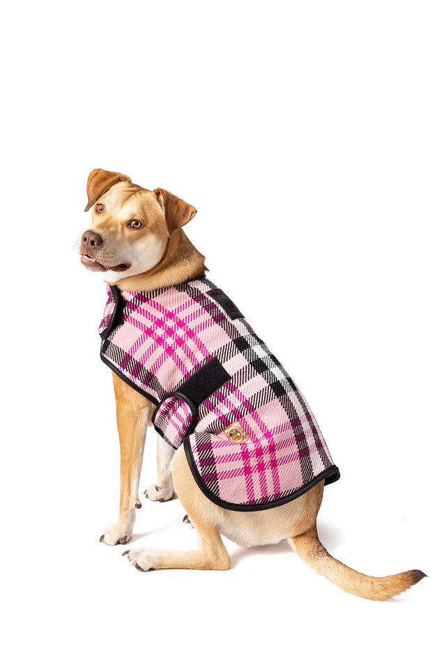 Blanket Coats by Chilly Dog LLC