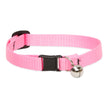 Lupine Basics Cat Collars