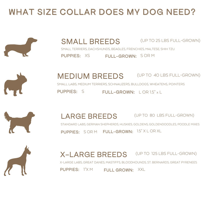 The Frasier Collar