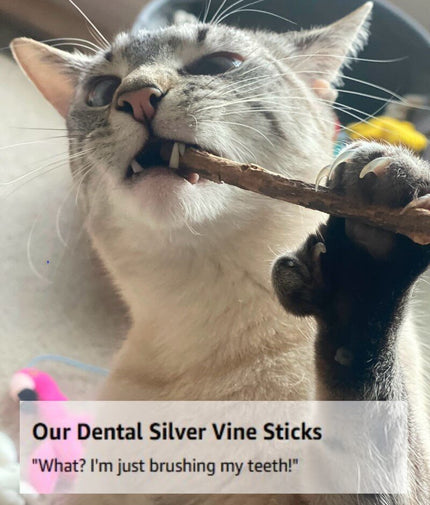 Silver Vine Dental Sticks