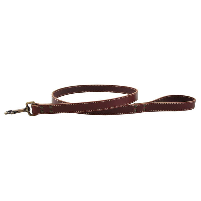 Lake Country Stitched Leash