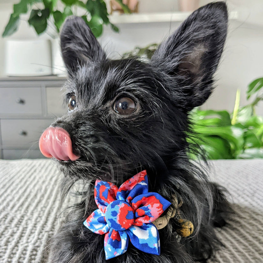 American Tie Dye Pinwheel