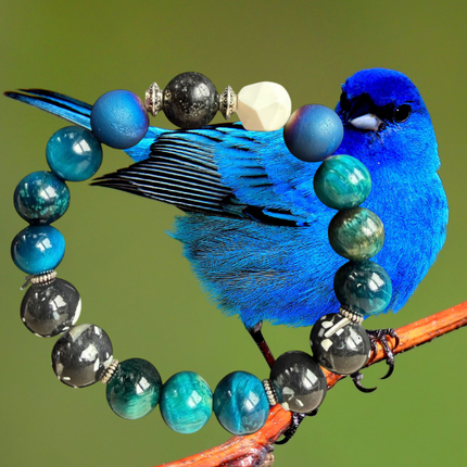 Indigo Bunting
