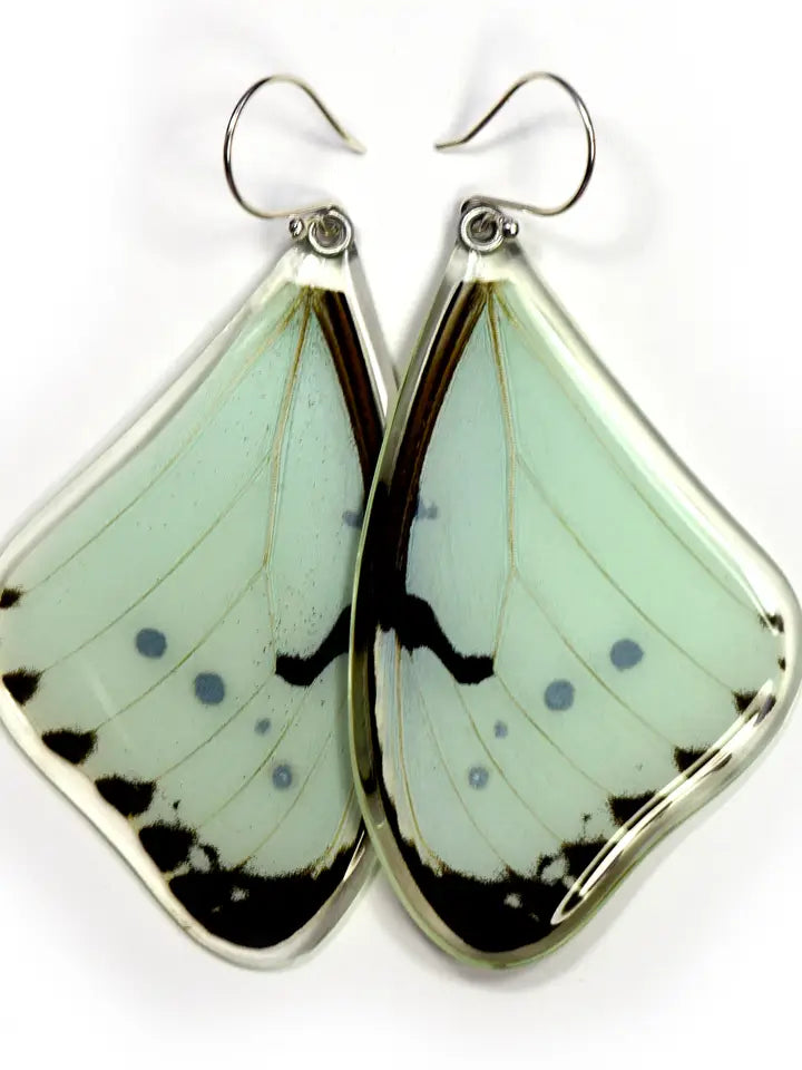 Wingstitution Butterfly Jewelry