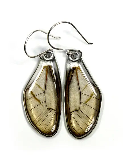 Wingstitution Butterfly Jewelry