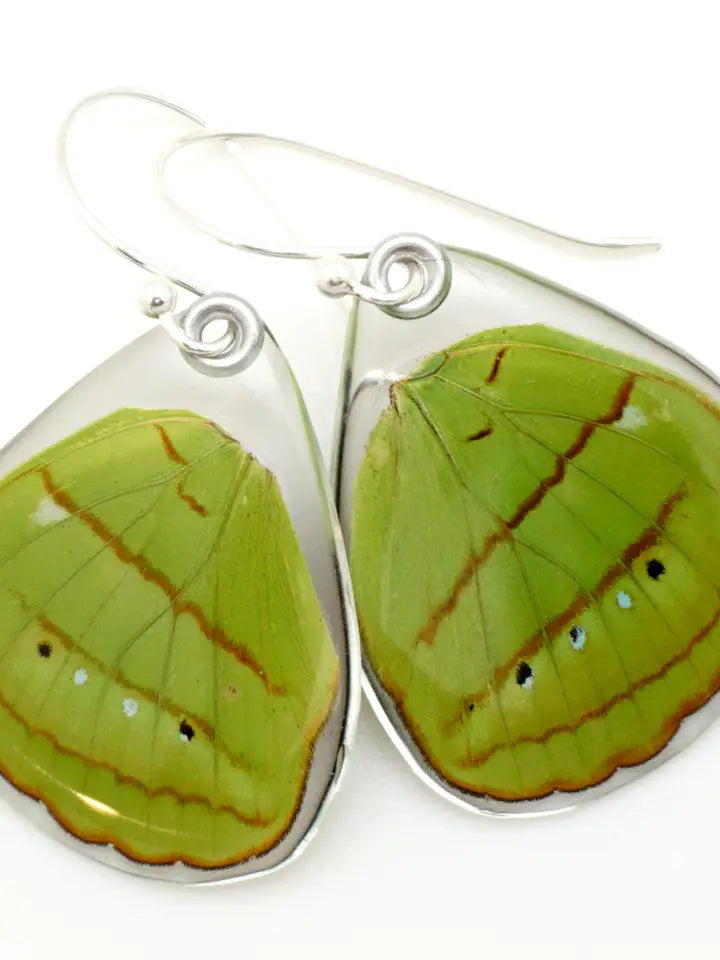 Wingstitution Butterfly Jewelry