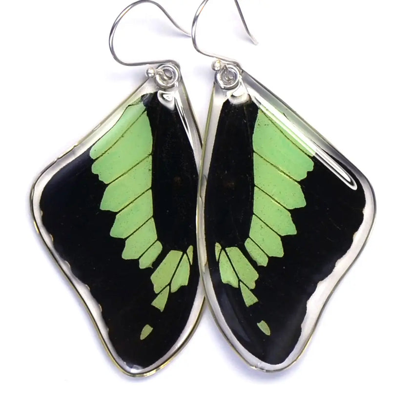 Wingstitution Butterfly Jewelry