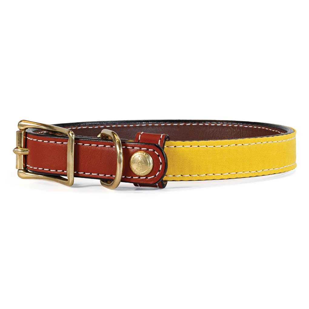 Upland & Downstream Countryside Collar