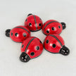 Soapstone Lady Bug Beetle, 2.5