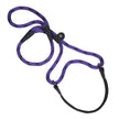 Mendota Martingale Leash