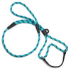 Mendota Martingale Leash