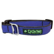 Cycle Dog Collar and Leashes