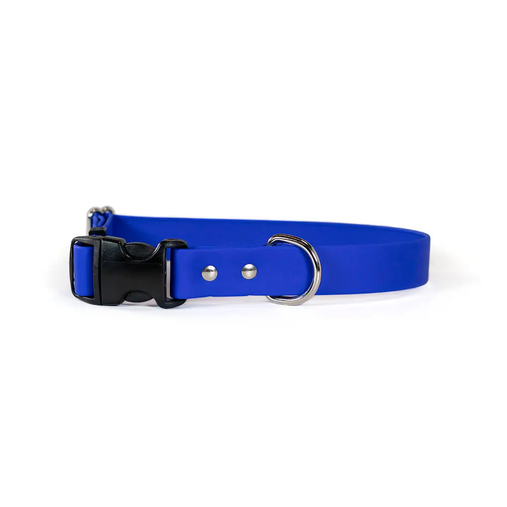 Auburn Leathercrafters- Sparky's Adventure Collars