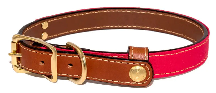 Upland & Downstream Countryside Collar