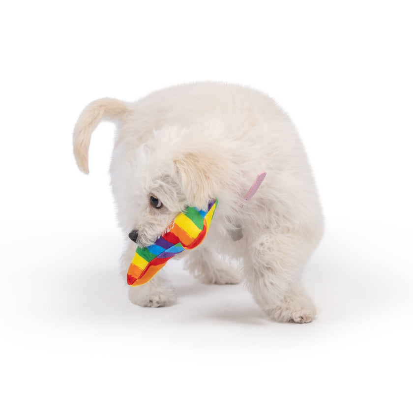 Tiny Tuff Equality Bone