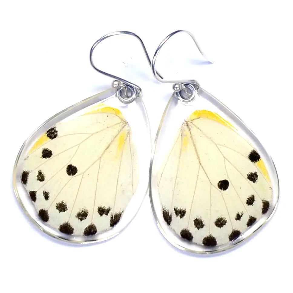 Wingstitution Butterfly Jewelry