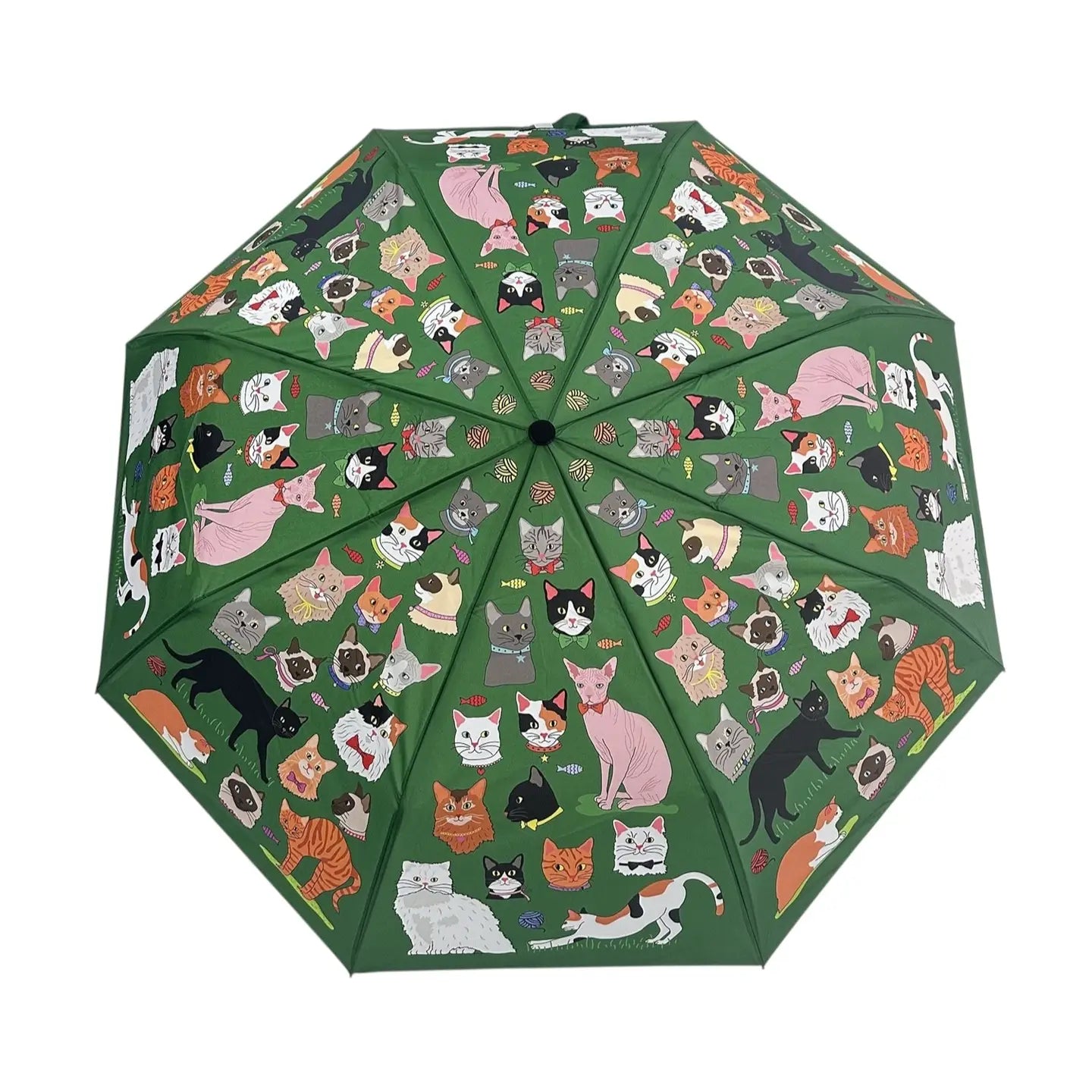 Umbrellas by Naked Decor