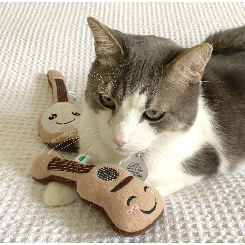 Cat Toys by Screaming Pickles