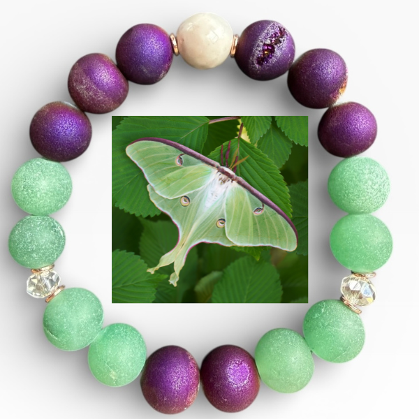 Luna Moth