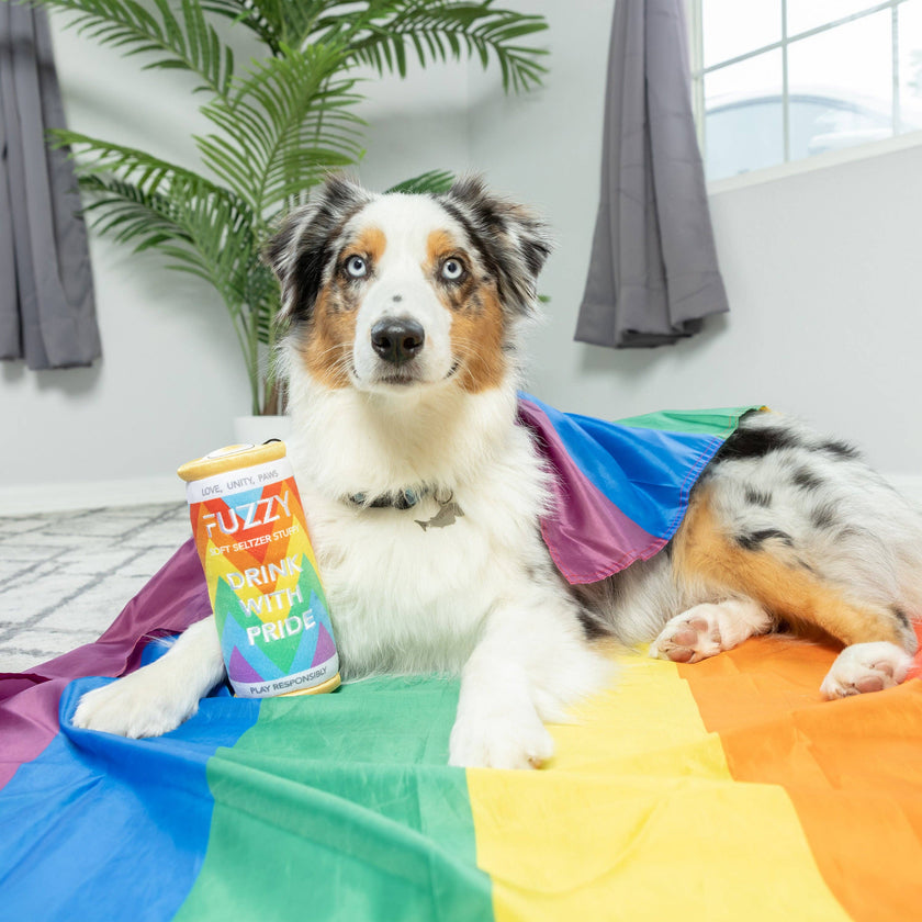 Fuzzy Soft Seltzer Dog Toy