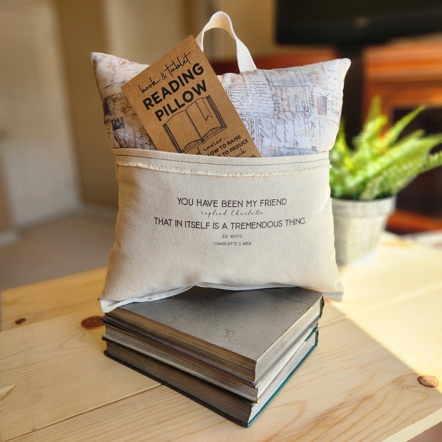 Book Pillows by Desmond Brown