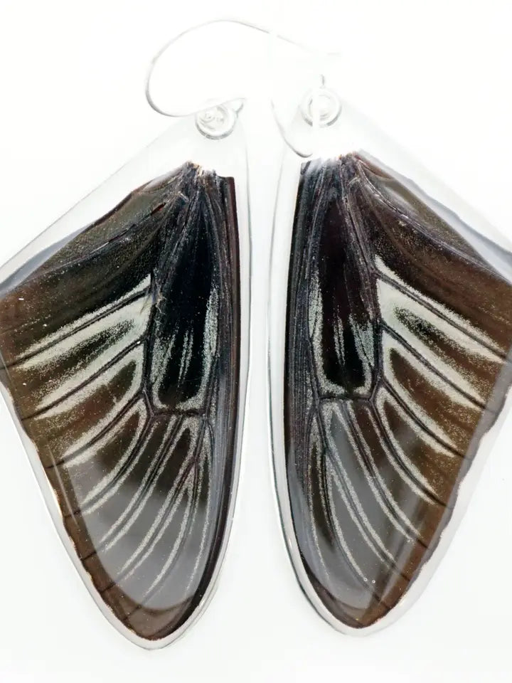 Wingstitution Butterfly Jewelry