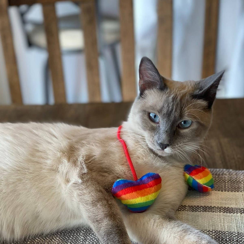 Rainbow Heart Strings Cat Toy