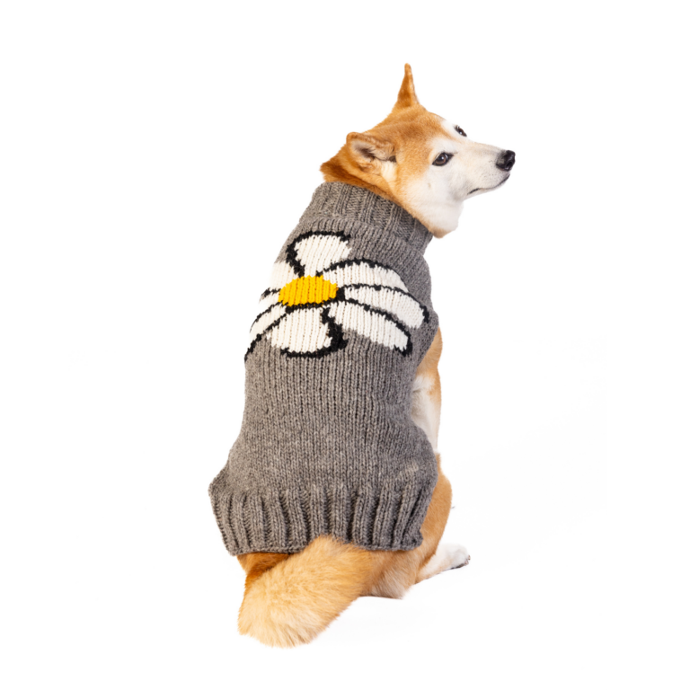 Large Chilly Dog Sweaters