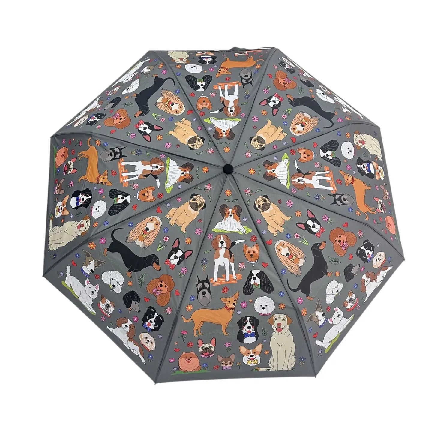 Umbrellas by Naked Decor