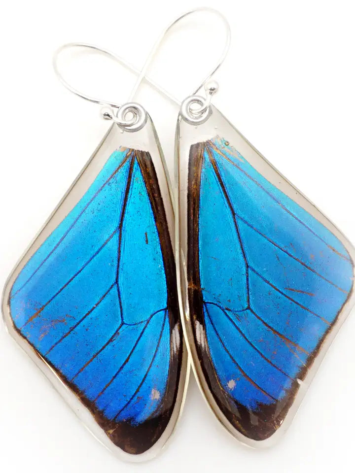 Wingstitution Butterfly Jewelry
