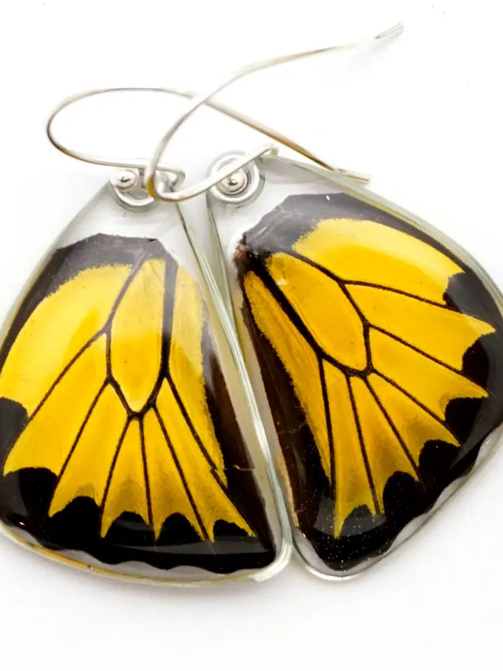 Wingstitution Butterfly Jewelry