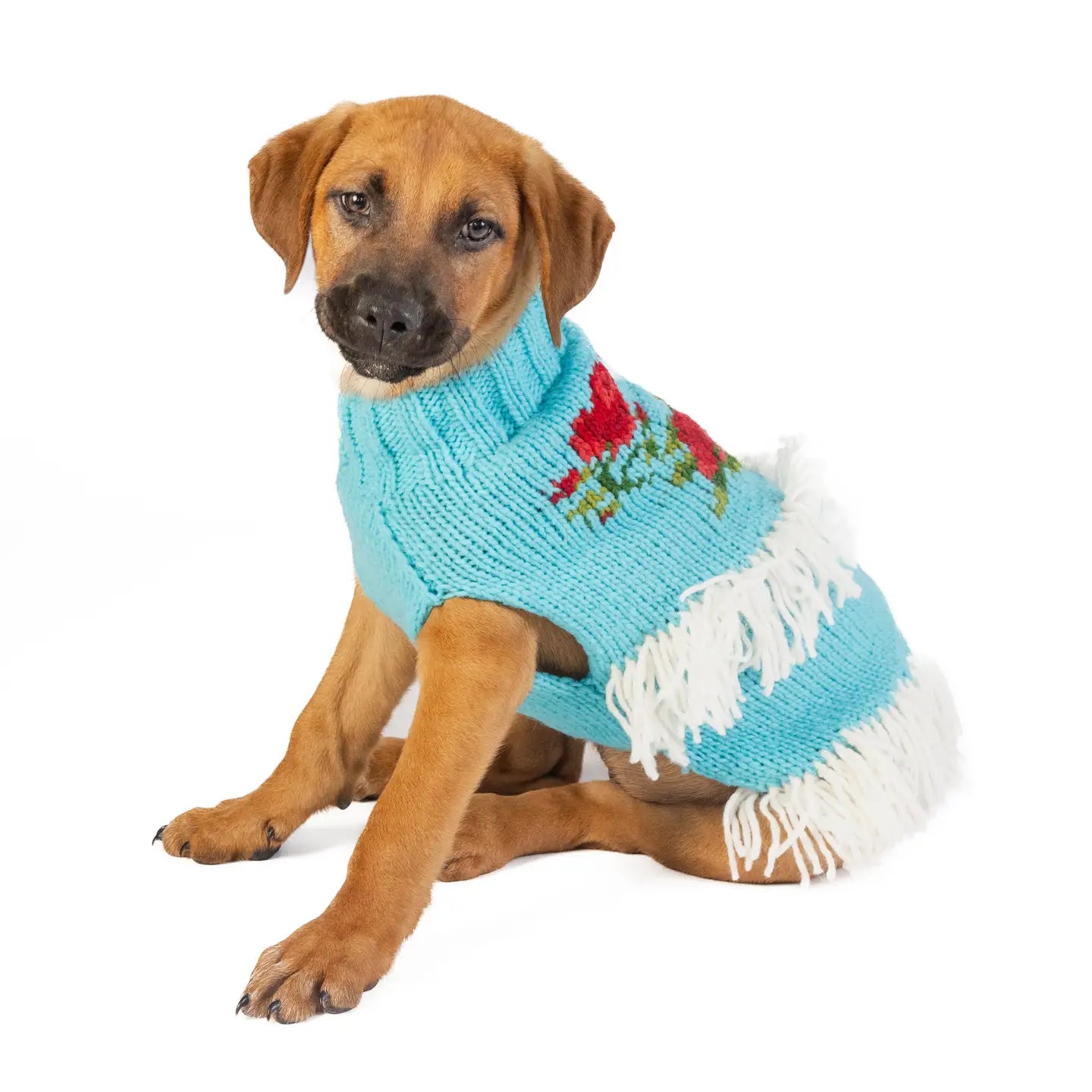 XS Chilly Dog Sweaters
