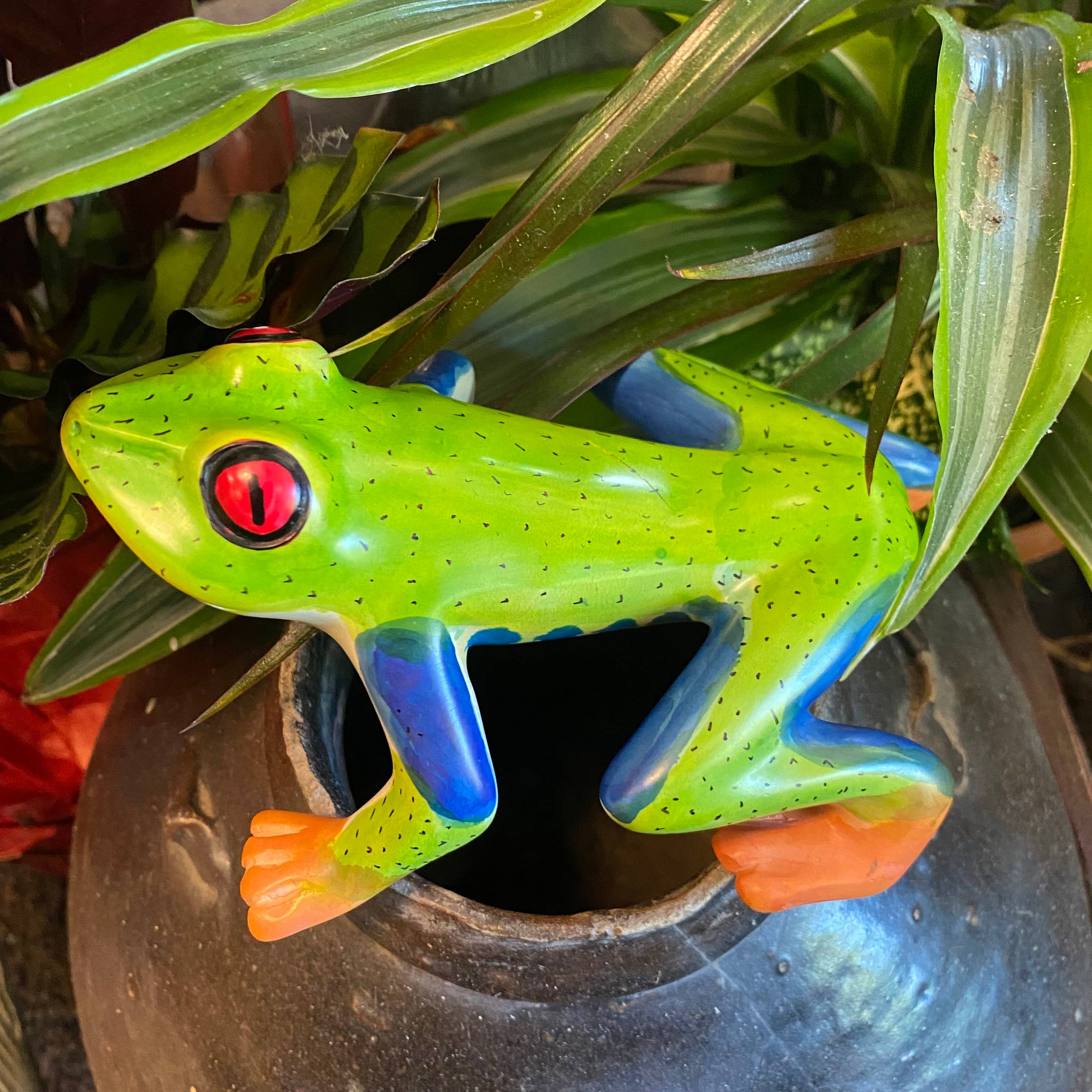 Soapstone Frog, Red Eyed Tree Frog, 6